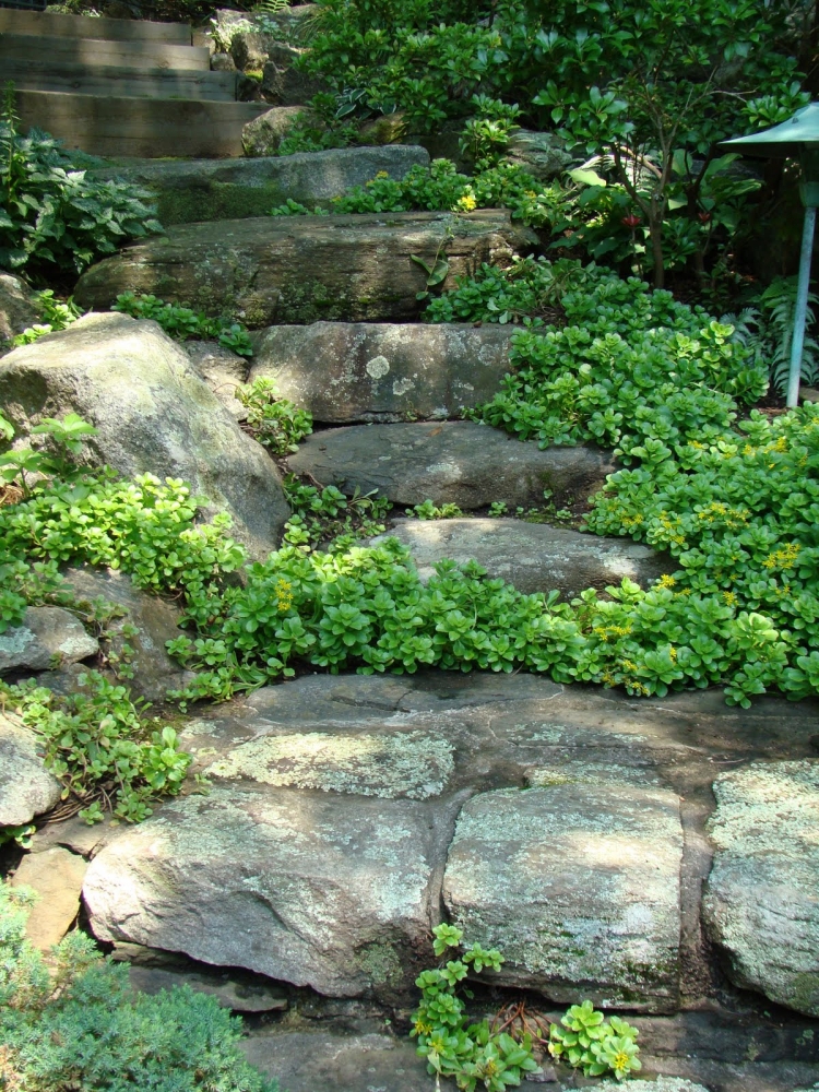 escalier en pierre brut jardin sur pente