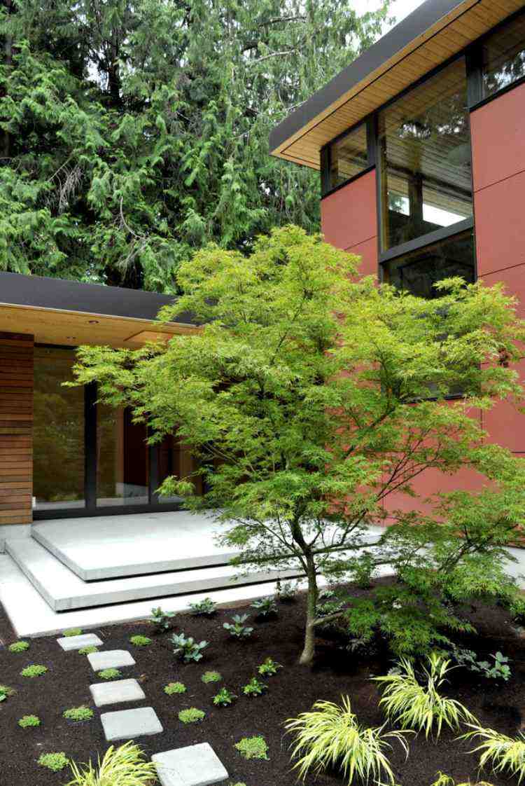 Ãrable du japon dans le jardin en 55 idées d'aménagement