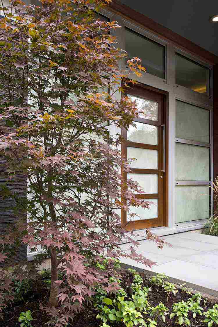 Ãrable du japon dans le jardin en 55 idées d'aménagement