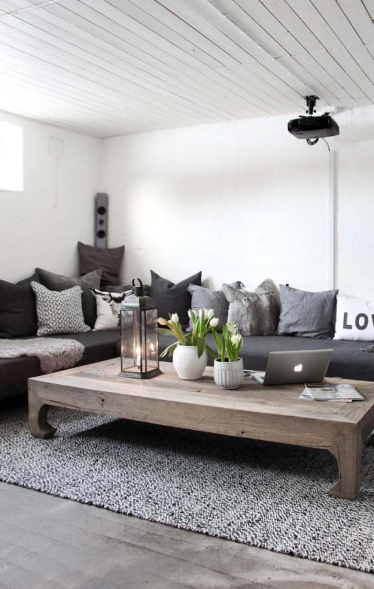Salon contemporain de style rustique en 55 idées fascinantes
