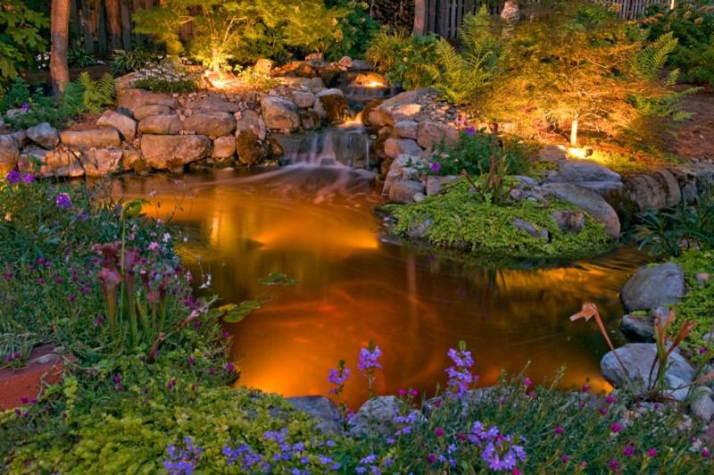 Éclairage bassin de jardin : types et prix  Ooreka