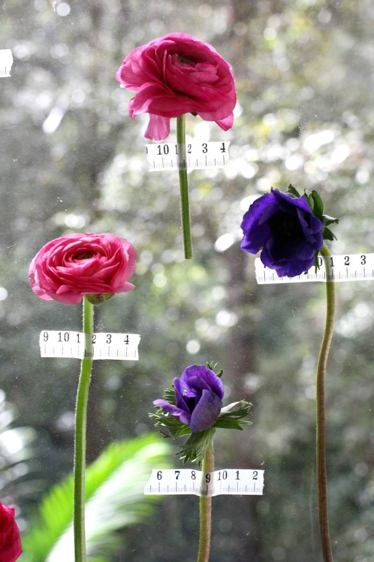 Décoration fenêtre : 50 idées diy pour les 4 saisons!