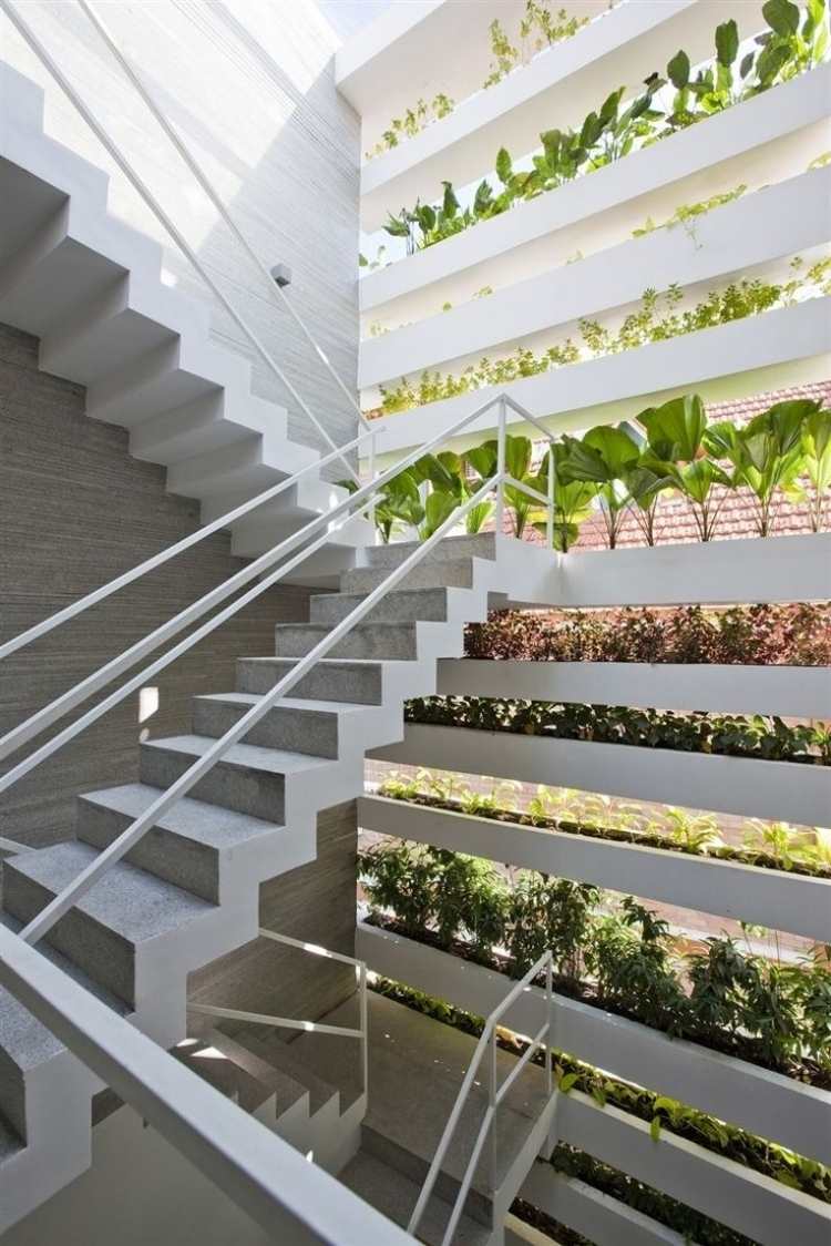 Mur végétal intérieur en 80 idées pour la maison écologique