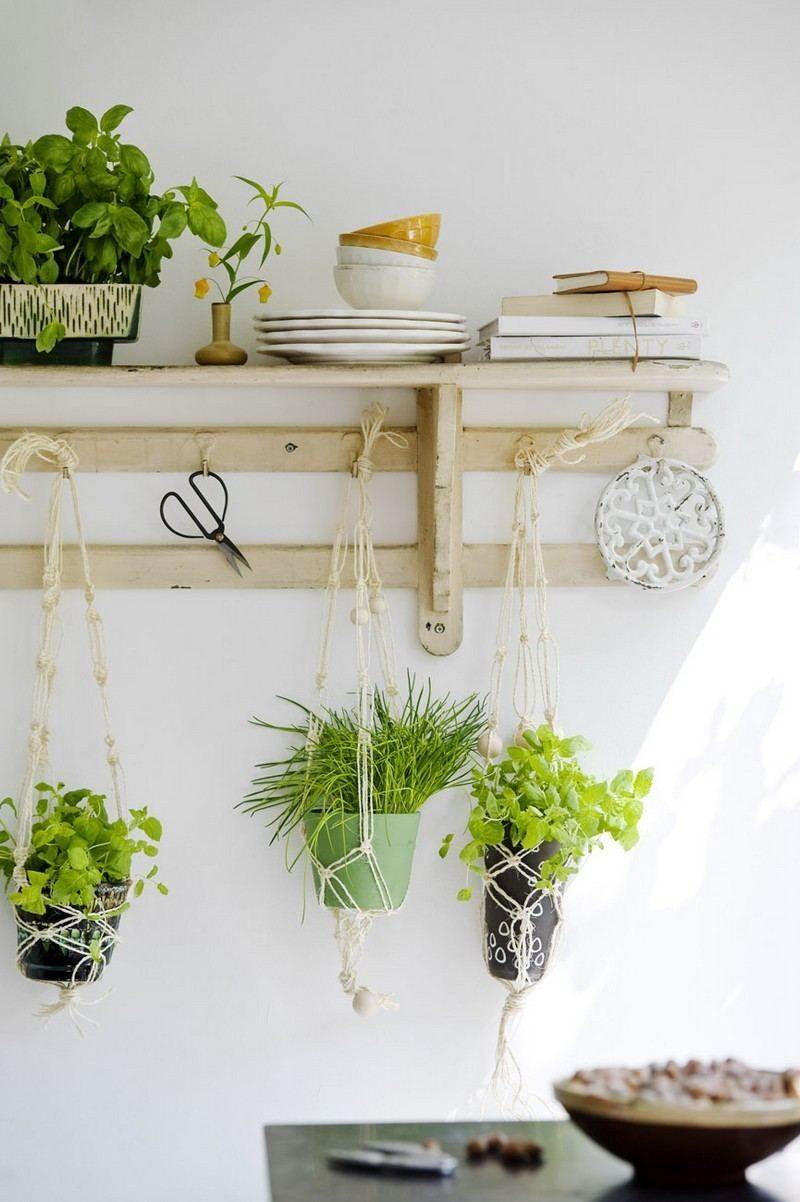 Herbes aromatiques en pot la déco maison idéale