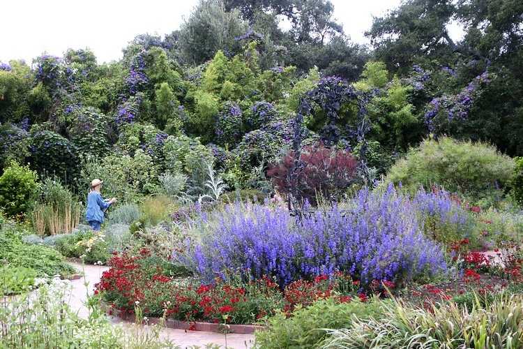 Jardin aromatique à faire soi même conseils et astuces