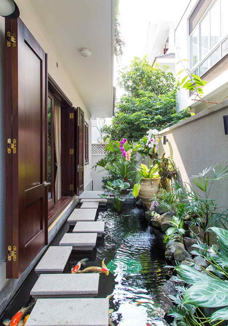 Bassin à poisson carpes koï les bijoux vivants du jardin à la ...
