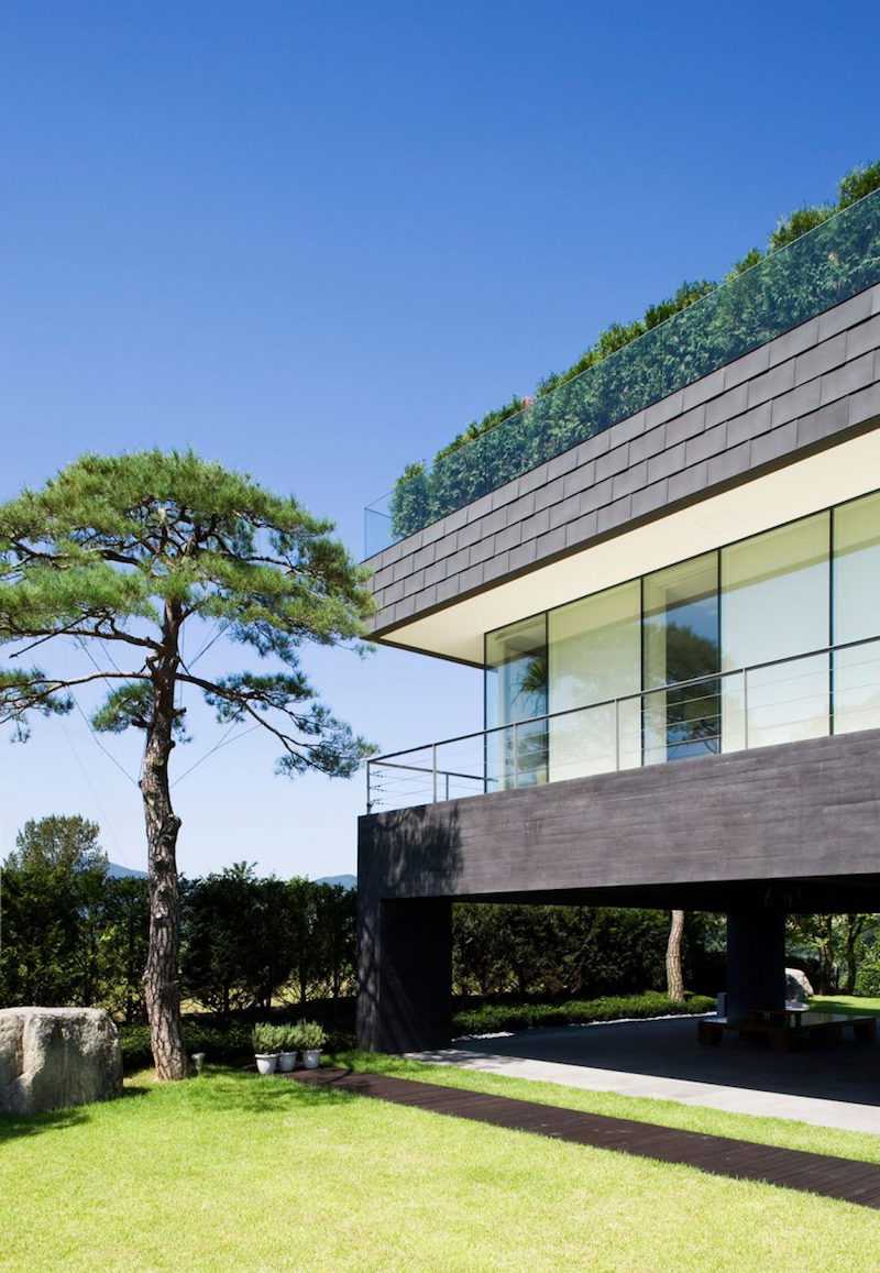 Le design extérieur et intérieur d'une maison sur pilotis ...