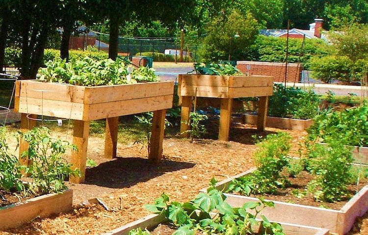 Potager Sur Pied En Bois Pour Retrouver Le Plaisir De Jardiner La