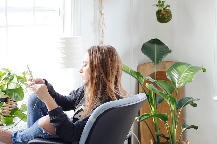 La tendance kokedama variantes de réalisation et raisons de l adoper