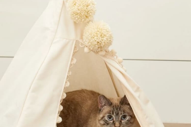 Tipi pour chat à fabriquer tutos et idées pour choyer votre matou