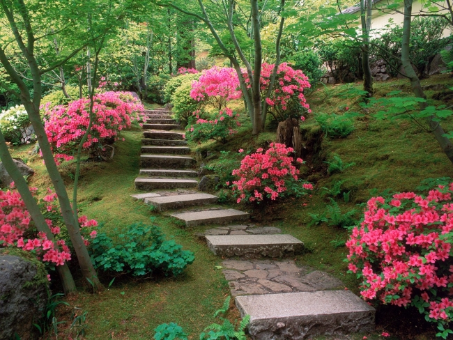 aménagement-de-jardin-japonais-arbustres-allée-en-pierre