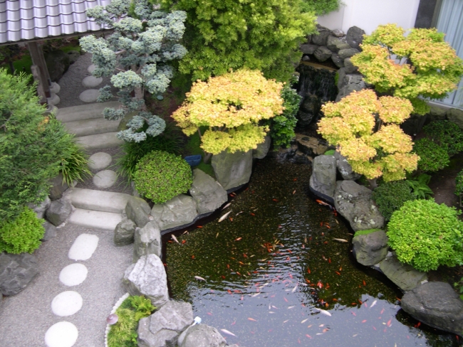 aménagement de jardin japonais-pas-japonais-étang-arbustres-étang-aquarium