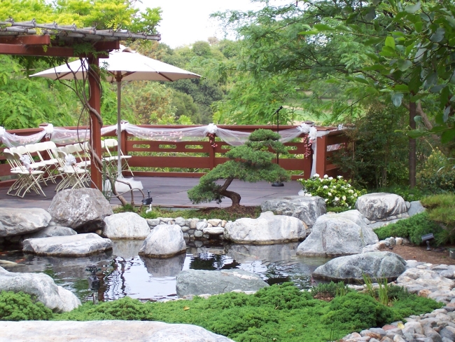 aménagement-de-jardin-japonais-étang-pierres-bonsaï-arbre