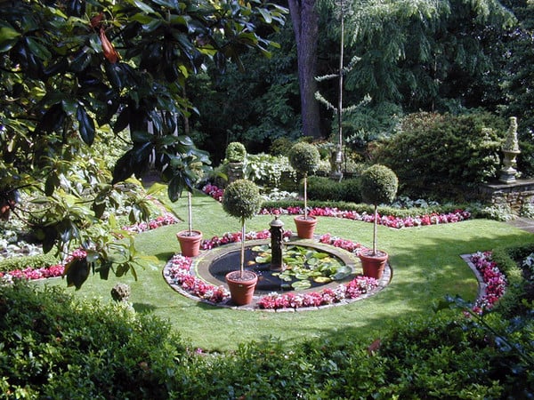 jardin-anglais-photos-petit-étang-buis