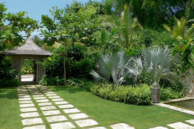 jardin-palmiers-tropicaux-allée-pierre-porte-interessante