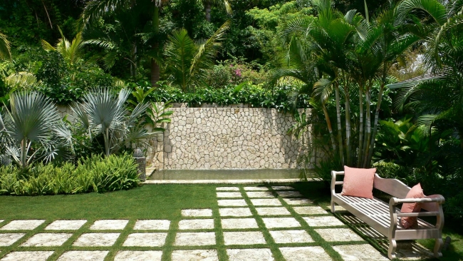 jardin-tropical-palmiers-banc
