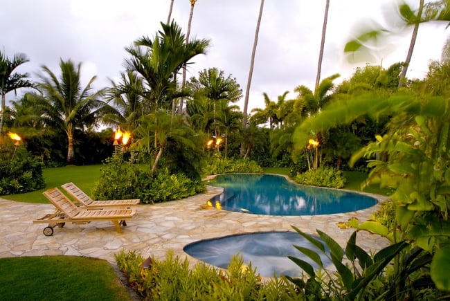 jardin-tropical-palmiers-piscine-forme-interessante