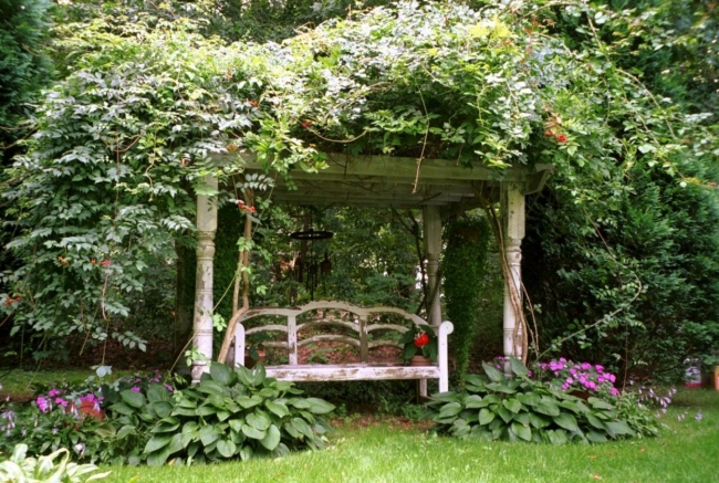 jardin-rustique-pergola-romantique
