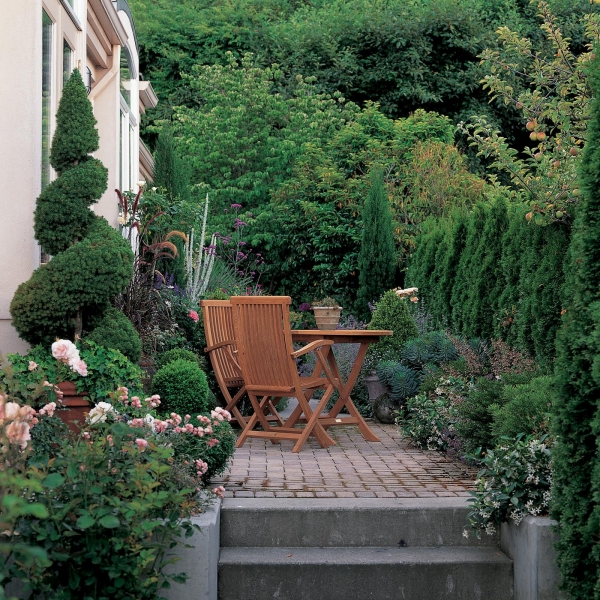 7clôture-de-jardin-plantes-arbustres