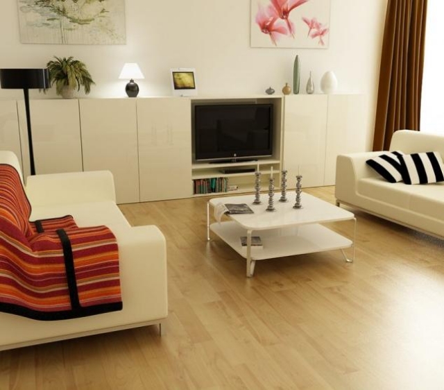 salon petit charmant blanc meubles