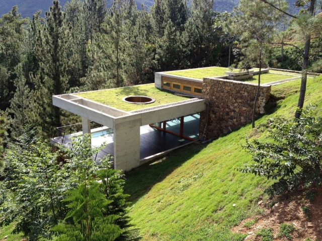 maison contemporaine nature vert bois 
