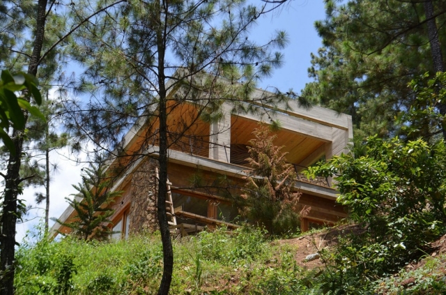 structure maison vegetation