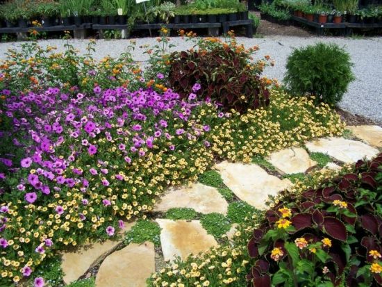 allée de jardin pas-japonais-pierre-plantes-fleurs-lilas