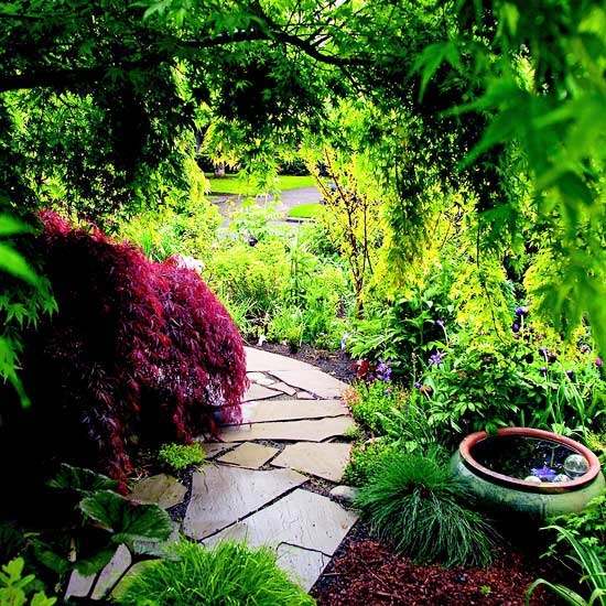 allée de jardin pas japonais pierre-tunnel-arbre-végétation