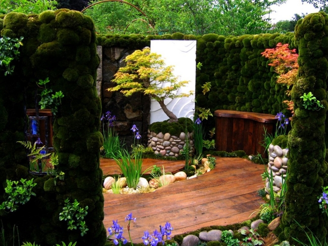 aménagement de jardin japonais-structure-en-bois-mousse-verdissement