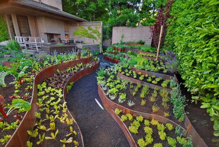 aménagement-jardin-potager-sur-pente-terrasses-acier-corten