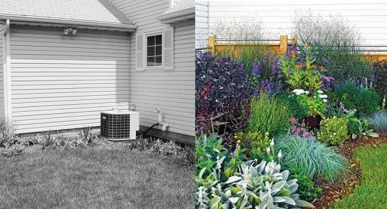 aménagement patio transformation plantes
