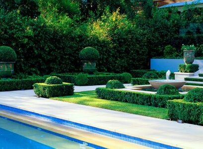 art topiare different vert