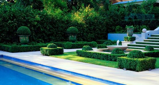 art topiare different vert