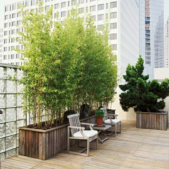 bambou-jardinière-balcon-vert-déco-protection-abri