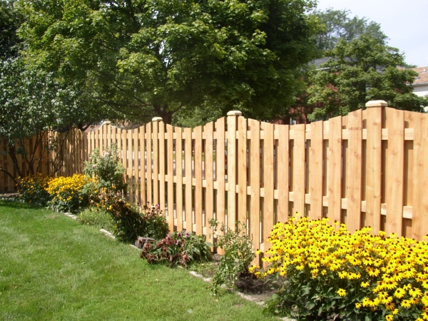 barrière-bois-brut-naturel-plantes-jardin