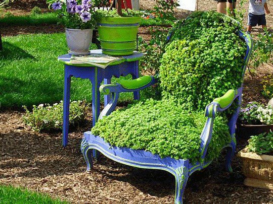 chaise vieille décoration jardin plantes grimpantes pot fleurs