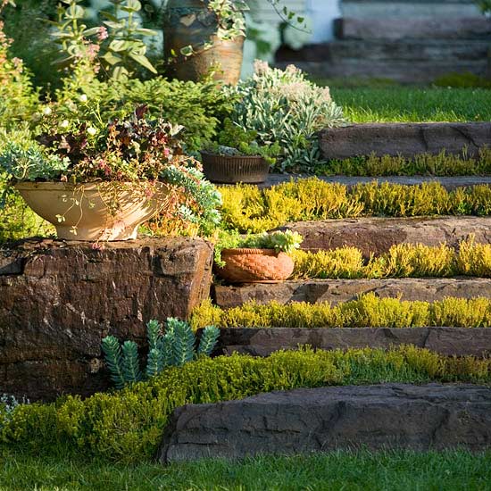 décoration de jardin à petit prix déco-pots-fleurs-escaliers-plantes-vertes
