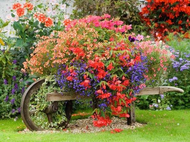 décoration-brouette-bois-fleurs-vivantes