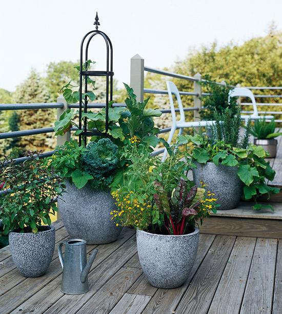 fleurs-pots-fleurs-décoratifs-plantes-vertes-balcon