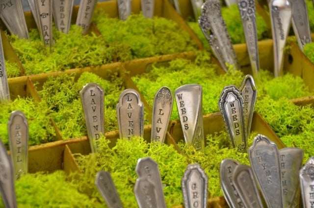 fourchettes gravées décoration noms herbes épices