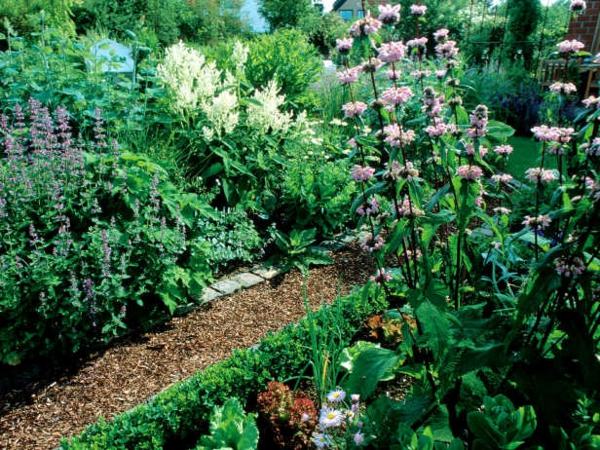 jardin-allée-cailloux-déco-plantes