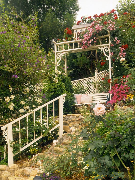 jardin pente fleurs-couleurs-vives-parapet