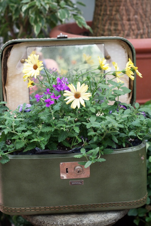 décoration de jardin à petit prix jardin-pot-fleurs-valise-fleurs-décoration