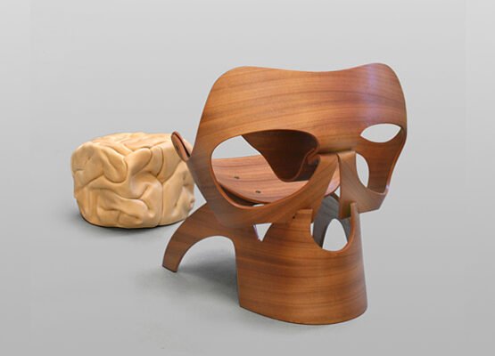 la-chaise-crane-et-le-cerveau