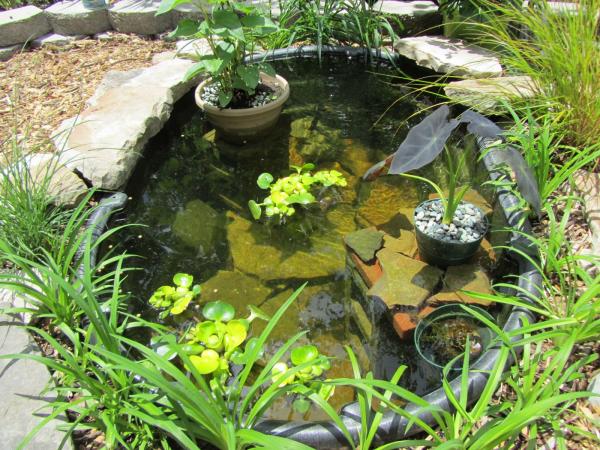 étang de jardin mini-étang-sympa-jardin-bricolage
