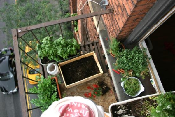 mini-jardin-balcon-potager-appartement