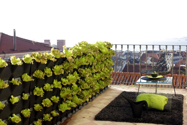 mini-toit-terrasse-potager-vertical-lettuce