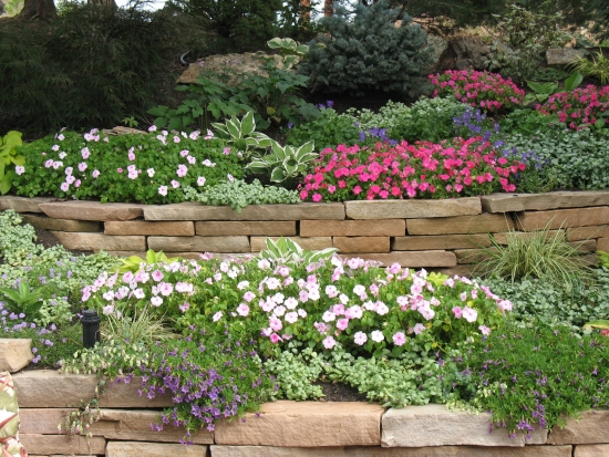 mur de jardin en-pierre-fleurs-couleurs-vives