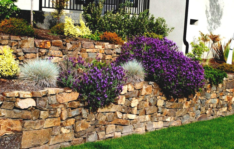 mur de jardin -soutènement-pierre-naturelle-fleurs-graminées-ornement