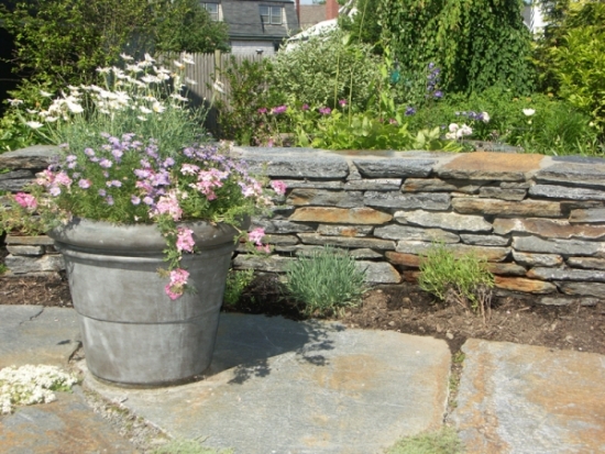mur en pierre naturelle-jardin-végétation